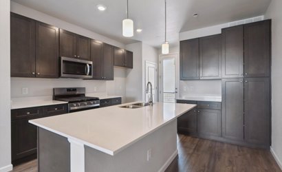 A kitchen with black cabinets.