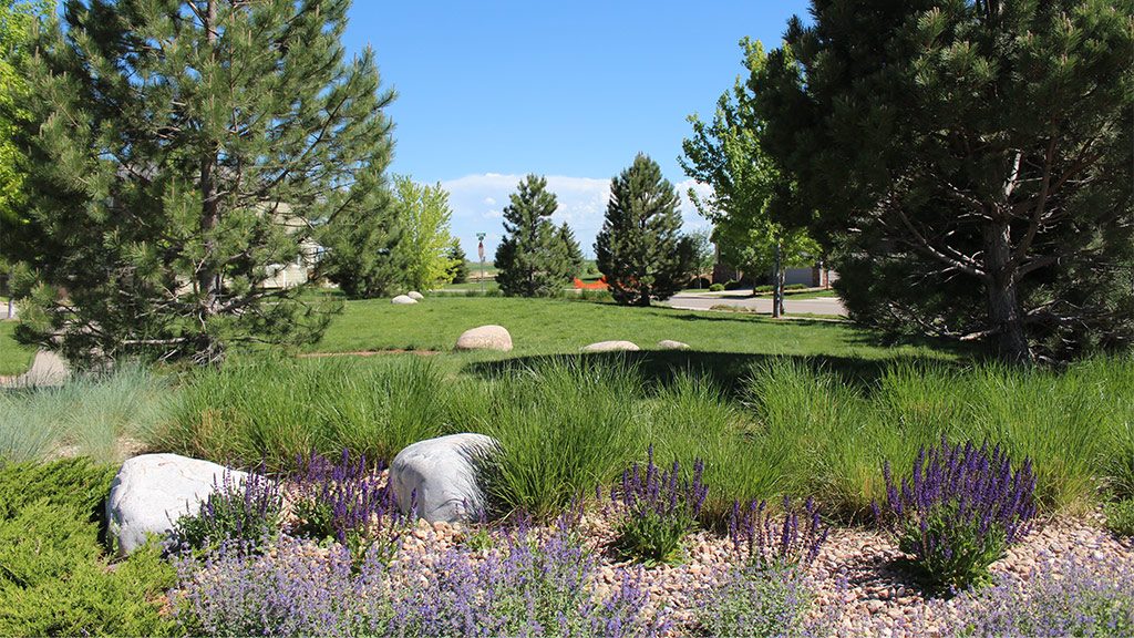A grassy field with trees and flowers.