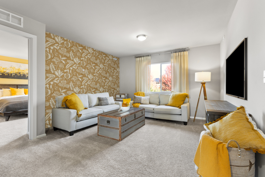 A living room with a bed and couches.