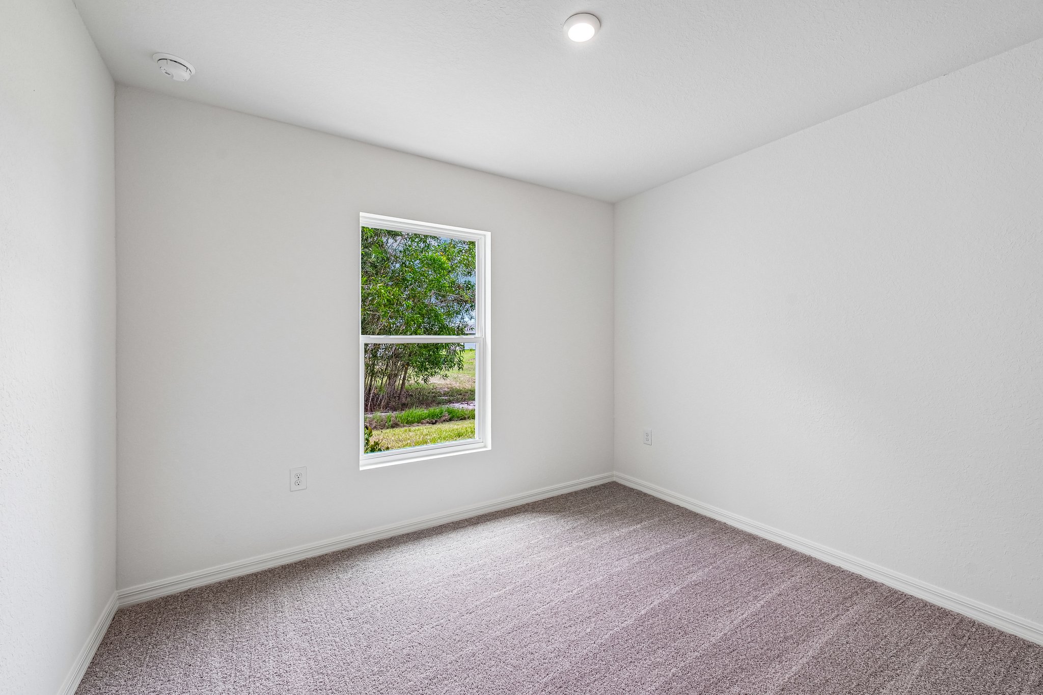 A room with a window and a carpet.